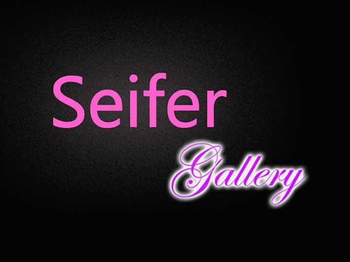 Seifer Gallery